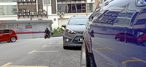 ZOEZEN HELLASTYLE LED WONDERLAND