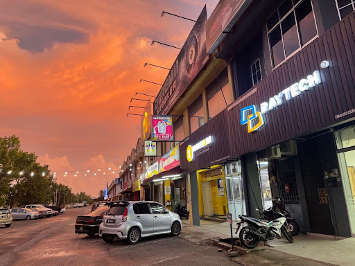 Raytech Kangar Tinting