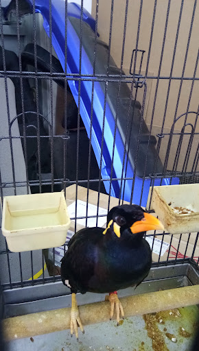 ZS Studio Accessories and Aircond