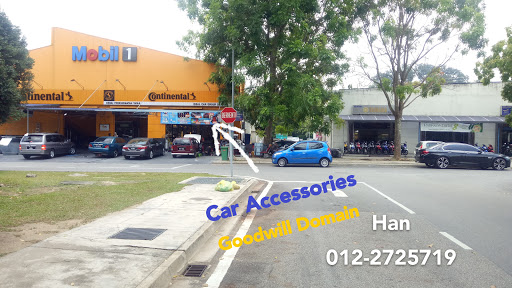 Goodwill Domain Enterprise