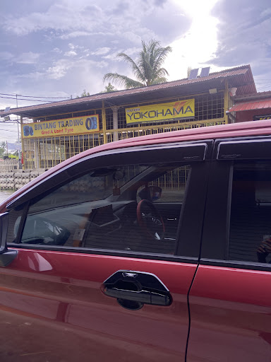 KINGAUTOTINTED KINARUT KINGAUTOTINTED KINARUT