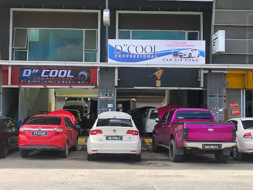 D"Cool Professional 1 external image 4238 1755805363 2