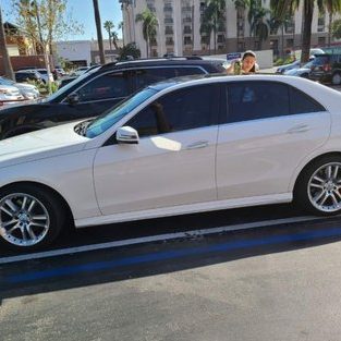 FZ TINTED GARAGE 1 fz tinted garage