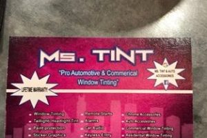 MS TINT AUTO