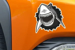 Sharkz Stickers, Car Tint & Accessories 6 Sharkz Stickers, Car Tint & Accessories