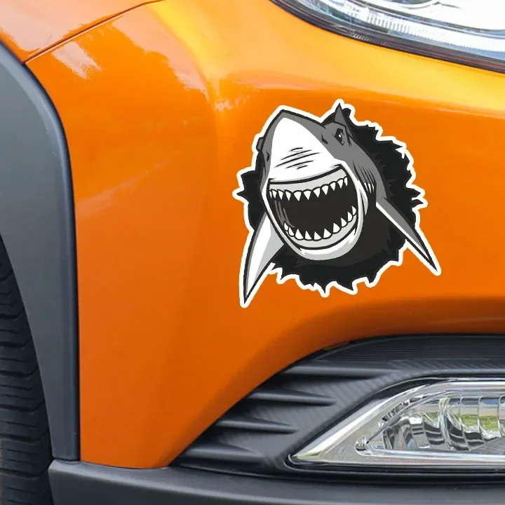 Sharkz Stickers, Car Tint & Accessories 1 sharkz stickers car tint accessories