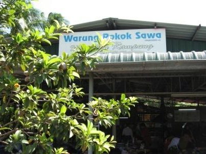 sin huat co arau pokok sawa
