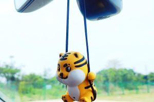 Tiger Car Accessories