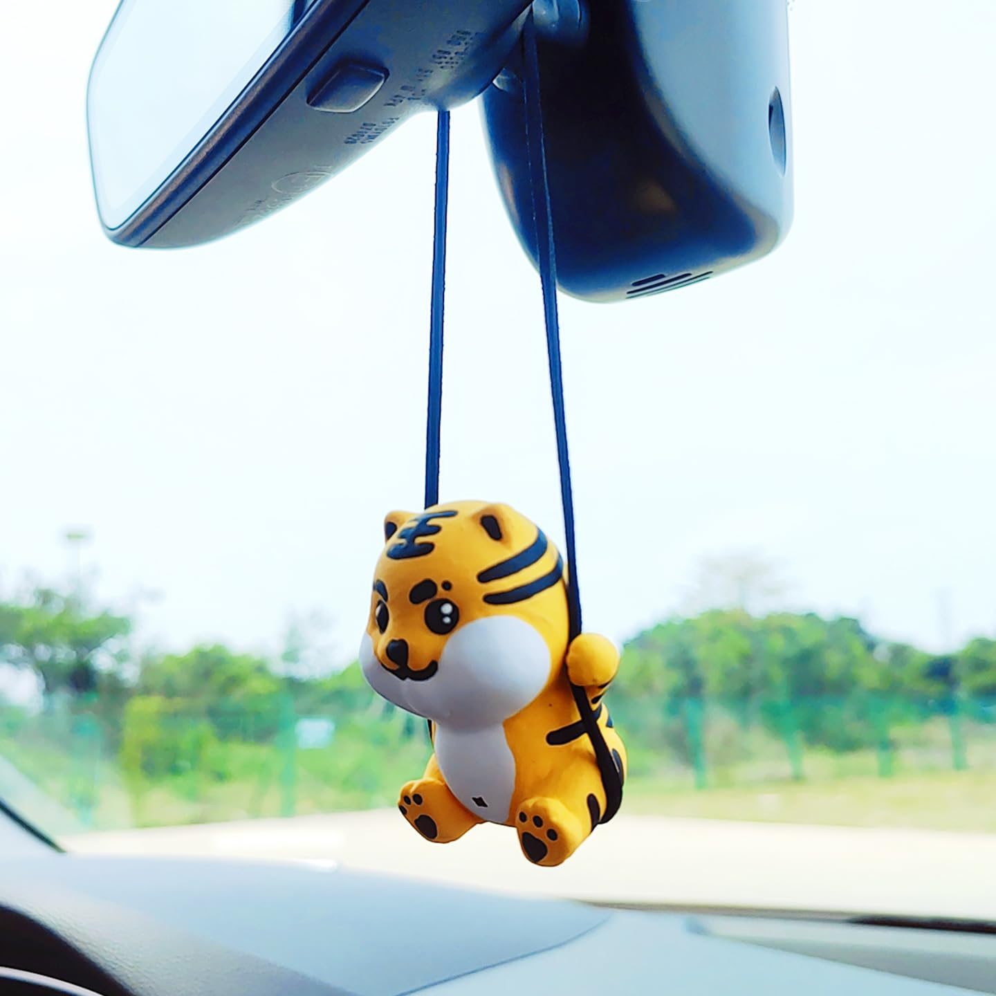 tiger car accessories